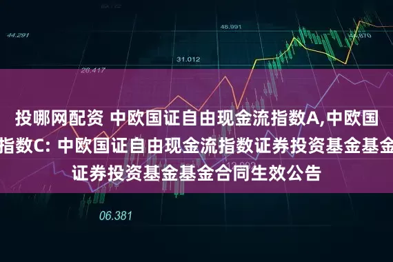 投哪网配资 中欧国证自由现金流指数A,中欧国证自由现金流指数C: 中欧国证自由现金流指数证券投资基金基金合同生效公告