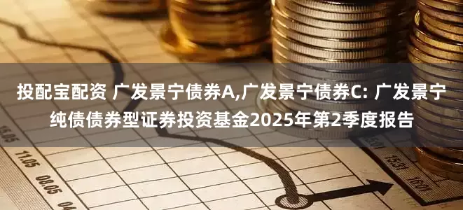 投配宝配资 广发景宁债券A,广发景宁债券C: 广发景宁纯债债券型证券投资基金2025年第2季度报告