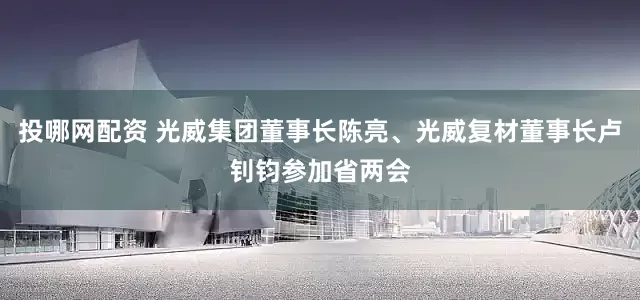 投哪网配资 光威集团董事长陈亮、光威复材董事长卢钊钧参加省两会
